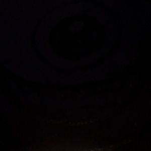 Meet your Posher, Dylan